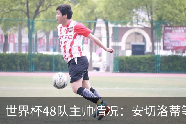 世界杯48队主帅情况：安切洛蒂等25人留任，德尚、纳帅离职